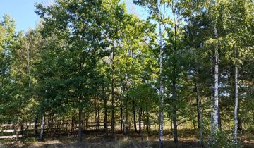 Działka budowlana Olesin