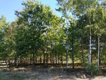 Działka budowlana Olesin. Zdjęcie 1