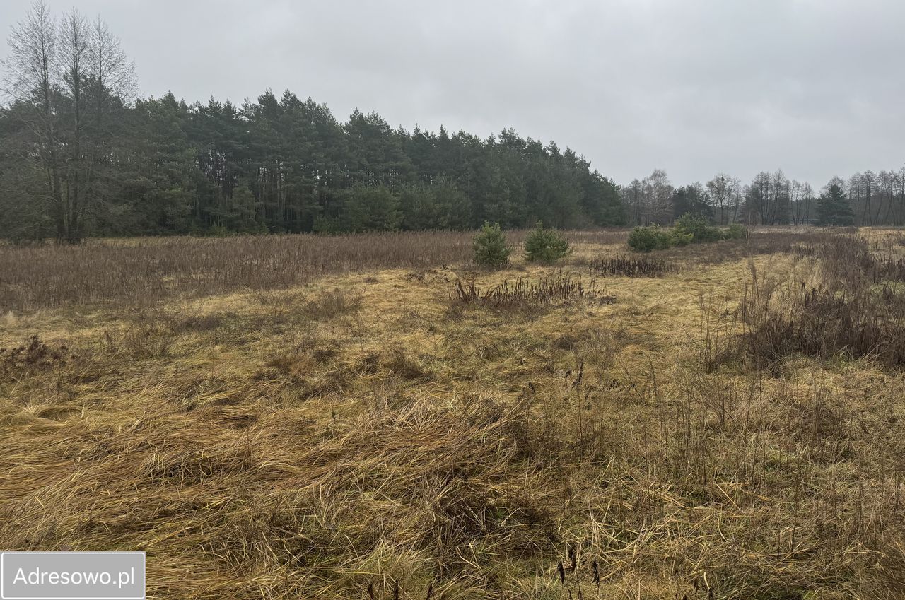 Działka rolno-budowlana Zarośle Cienkie. Zdjęcie 4