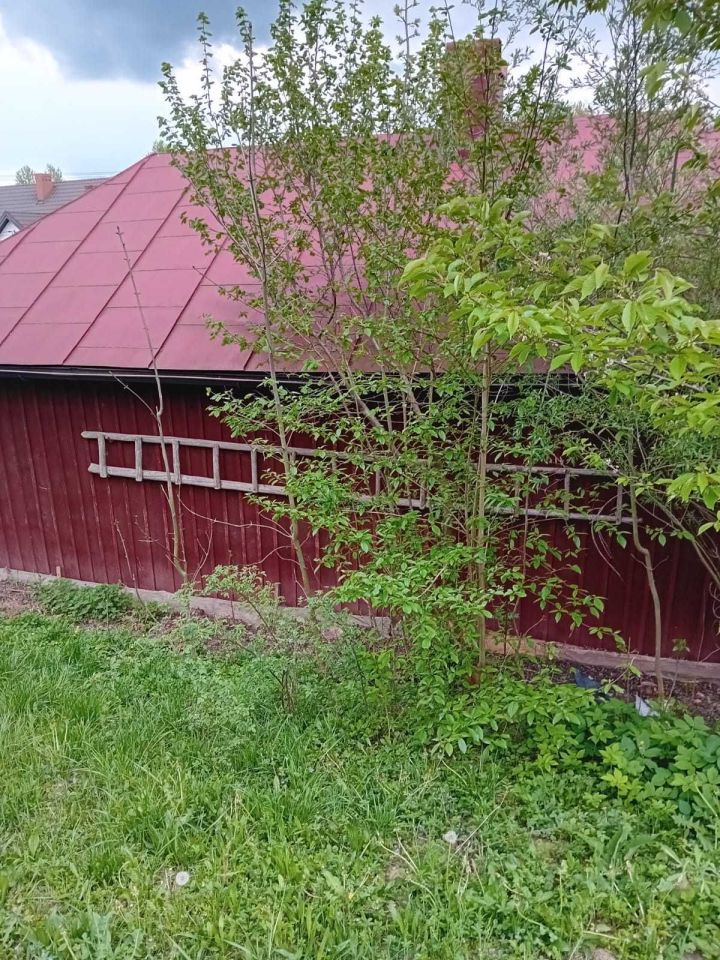 gospodarstwo Jodłowa. Zdjęcie 2