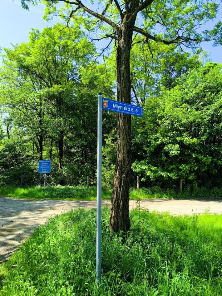 Działka rolno-budowlana Młyniska. Zdjęcie 2