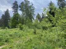Działka budowlana Berezka. Zdjęcie 4