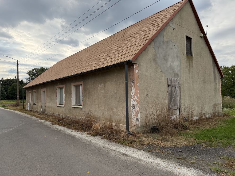 Zdjęcie 6