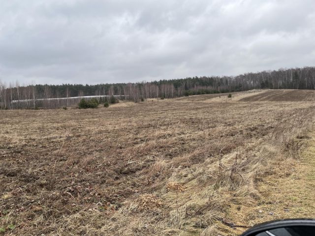 Działka rolno-budowlana Promna-Kolonia. Zdjęcie 1