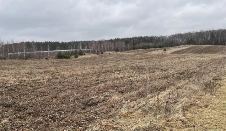 Działka rolno-budowlana Promna-Kolonia