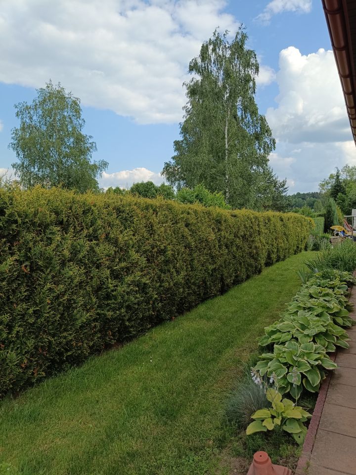 dom wolnostojący, 5 pokoi Lubaczów Mazury, ul. Akacjowa. Zdjęcie 25