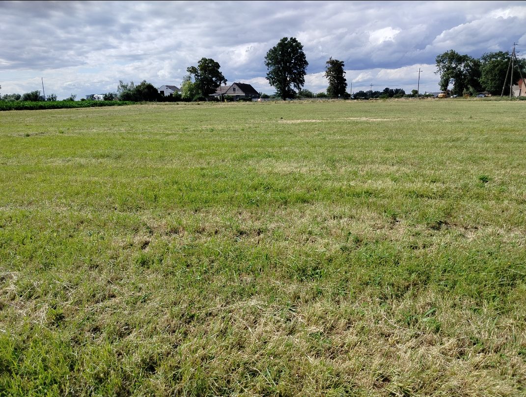 Działka rolna Głuchowo, ul. Lemierzycka