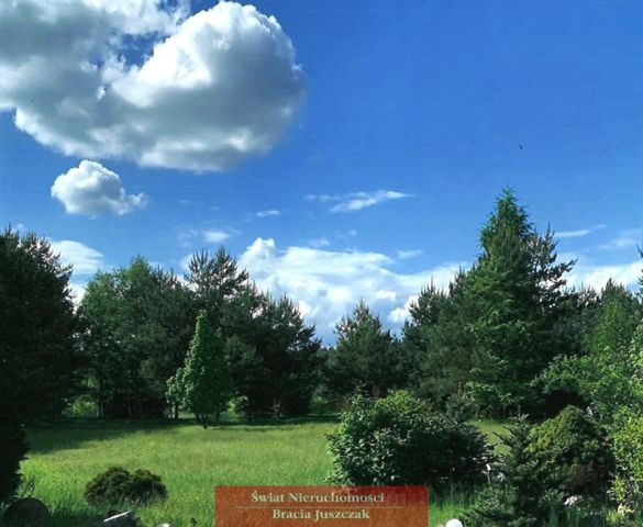 Działka budowlana Sosnówka. Zdjęcie 1