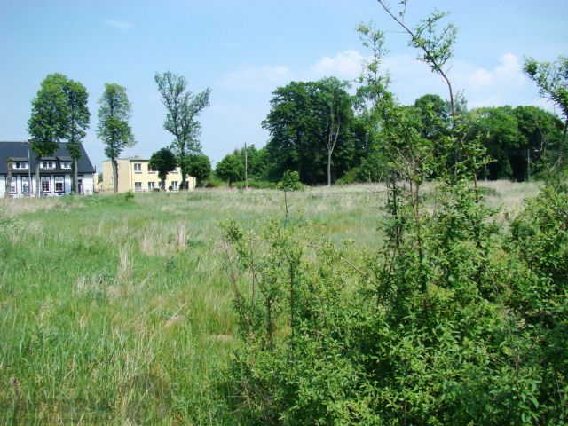 Działka budowlana Nowe Warpno. Zdjęcie 12