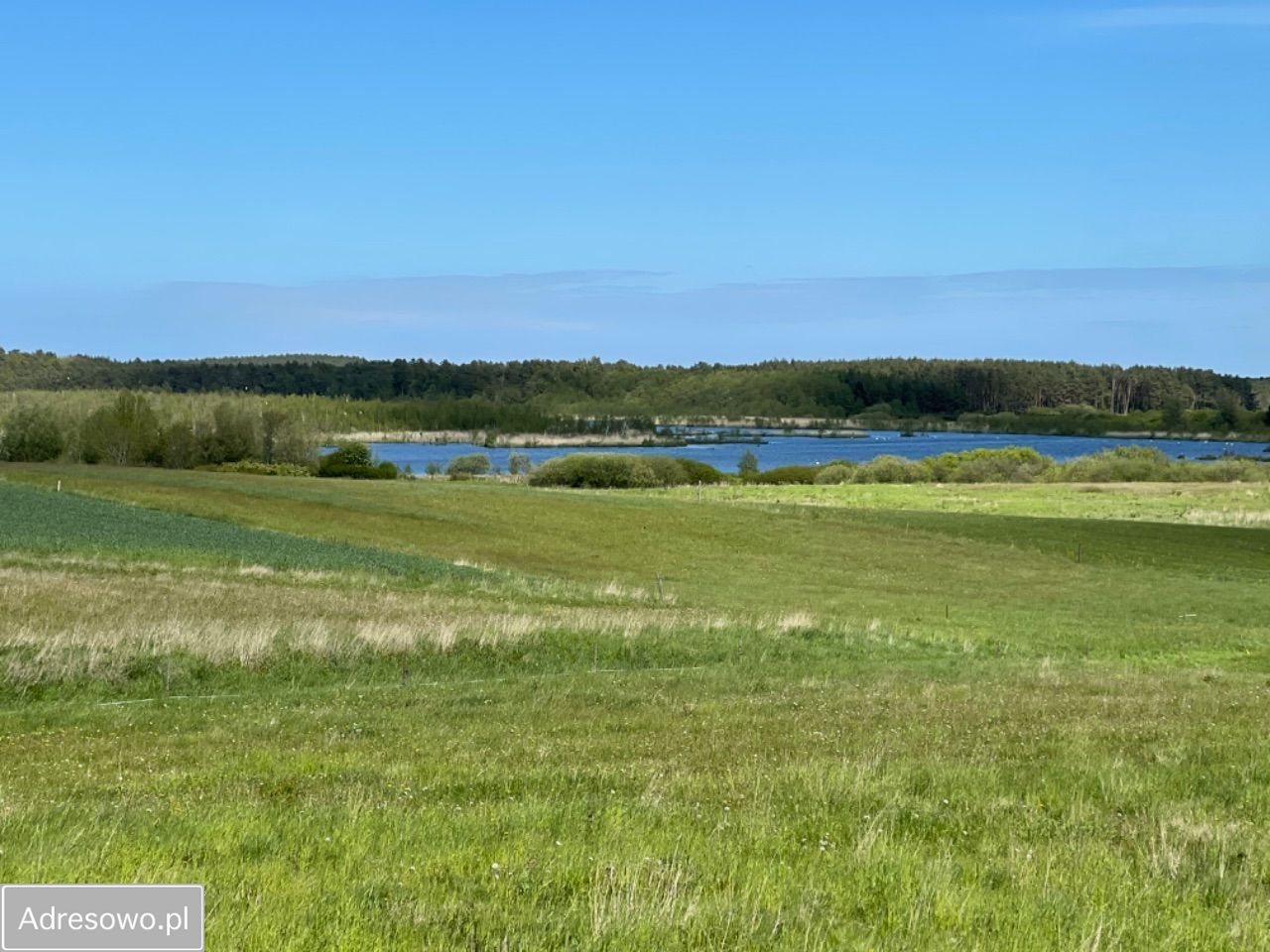 Działka rekreacyjna Konarzewo. Zdjęcie 4