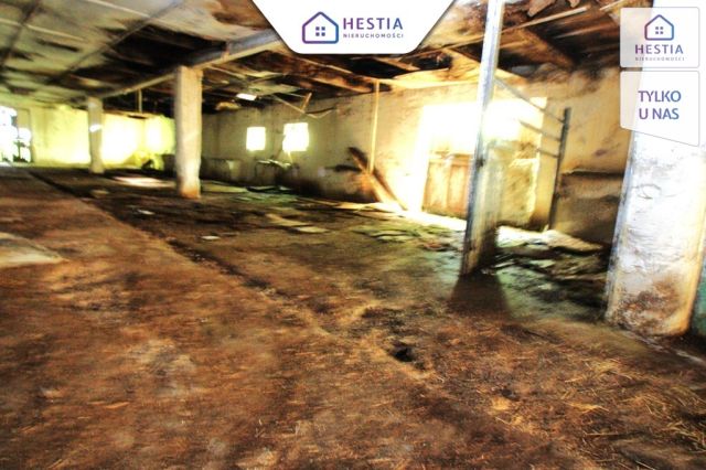 Hala/magazyn Kurcewo. Zdjęcie 10