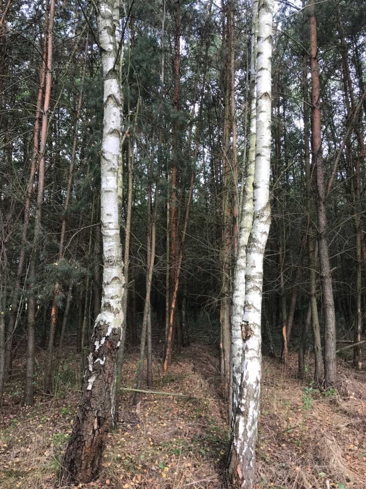 Działka rolna Możdżanów. Zdjęcie 6