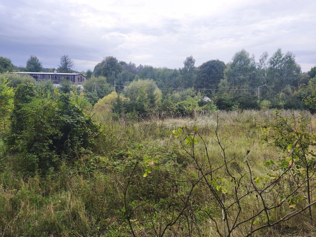 Działka budowlana Krzywa Wieś. Zdjęcie 3