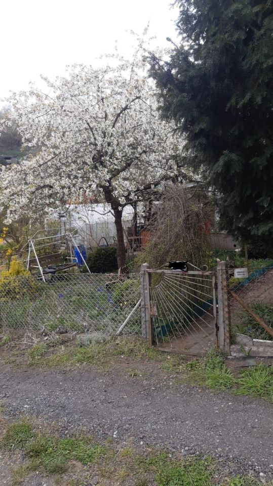 Działka rekreacyjna Szczecin Bukowo, ul. Pokoju