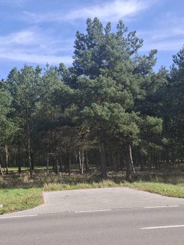 Działka budowlana Marynino. Zdjęcie 1