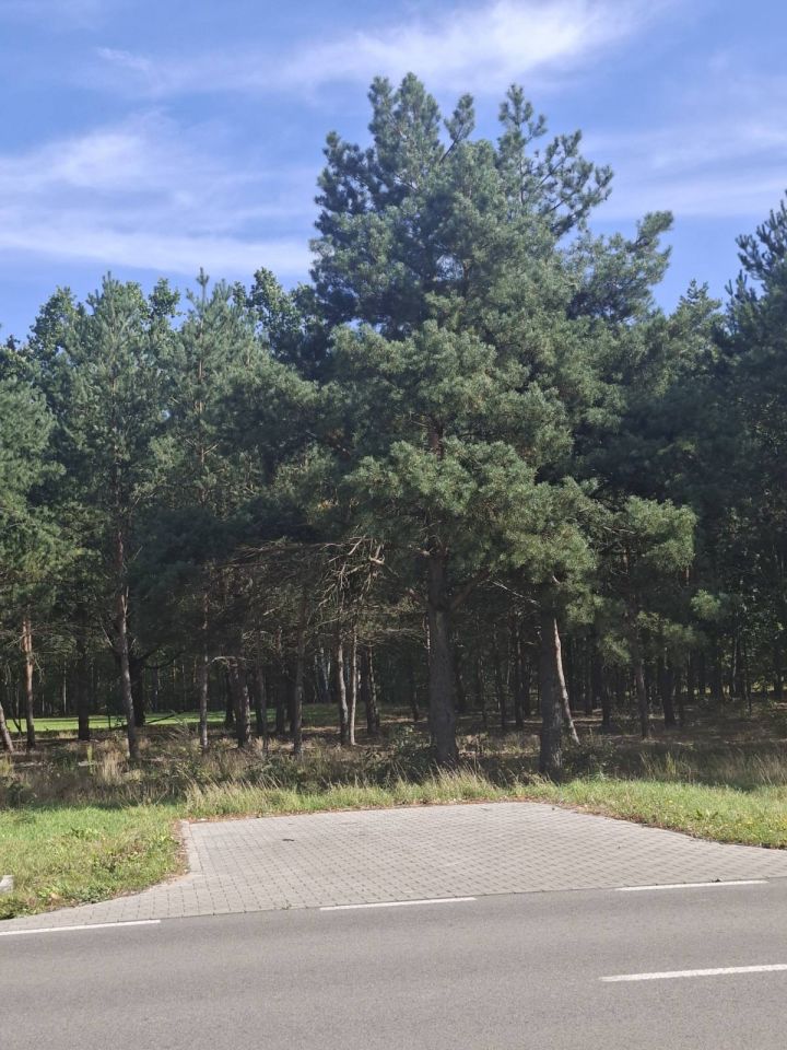 Działka budowlana Marynino. Zdjęcie 1
