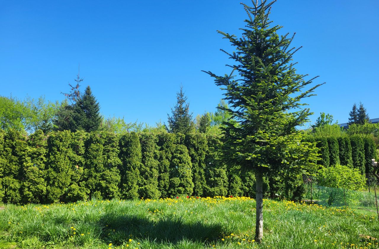 Działka rekreacyjna Łódź Chojny, ul. Chocimska