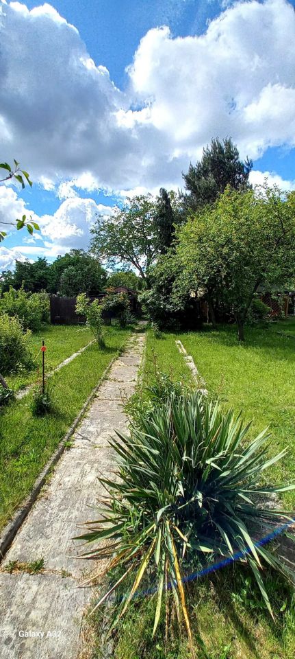 Działka rod Wrocław Psie Pole, ul. Toruńska. Zdjęcie 5