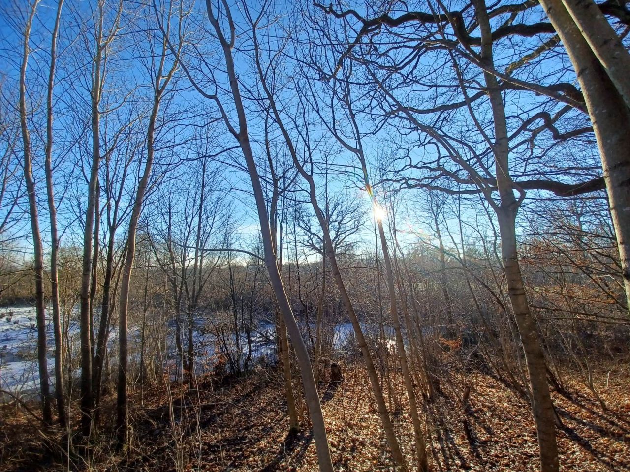 Działka rolna Krągłe. Zdjęcie 6