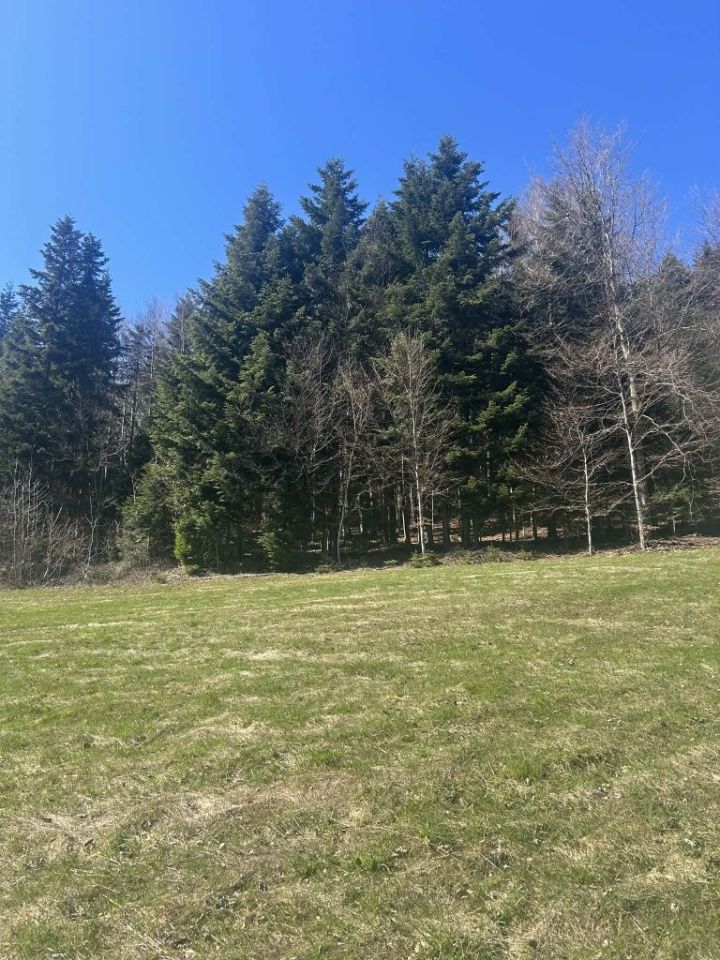 Działka rolna Żmiąca. Zdjęcie 3