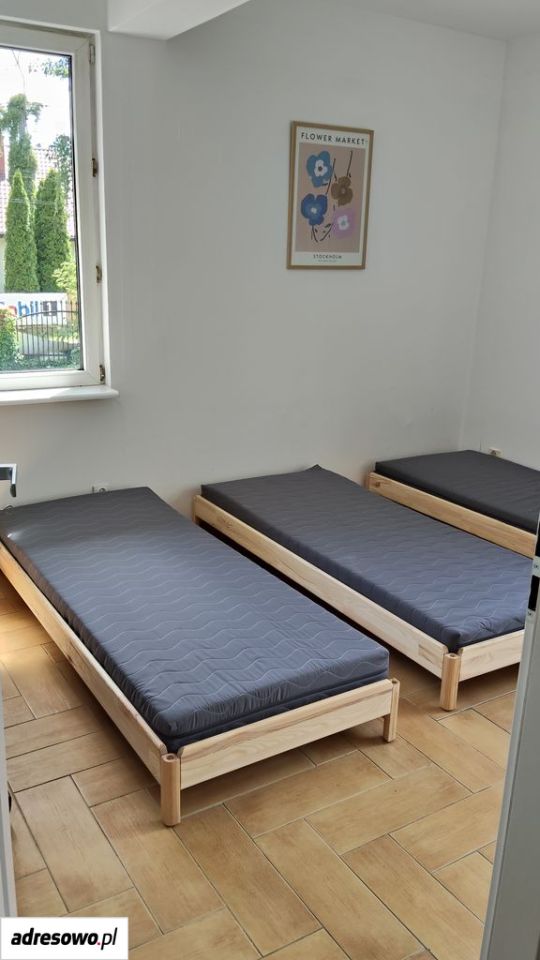 Pokój Stasi Las. Zdjęcie 5