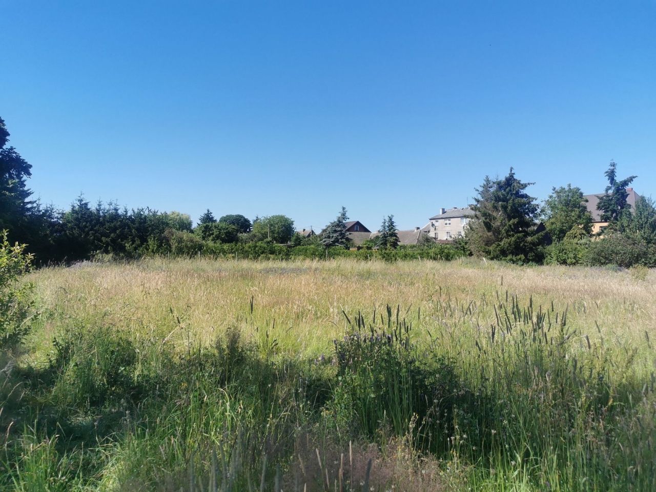 Działka budowlana Lipka. Zdjęcie 13