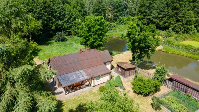 Działka siedliskowa Tarło. Zdjęcie 6