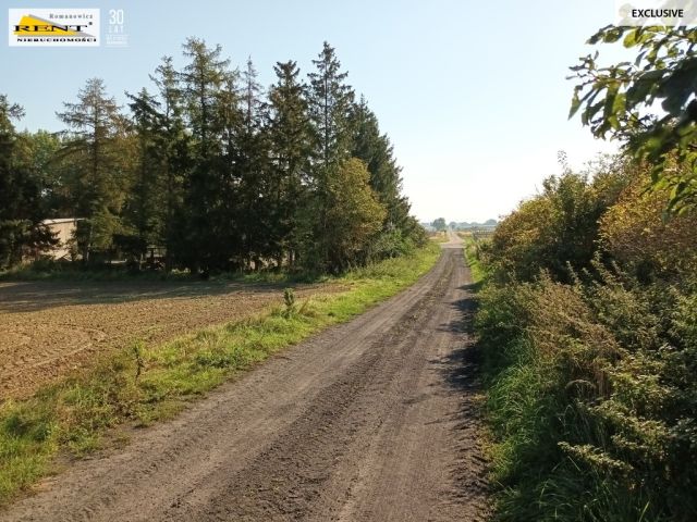 Działka budowlana Chabowo. Zdjęcie 9