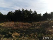 Działka budowlana Masłów, ul. Sosnowa. Zdjęcie 1