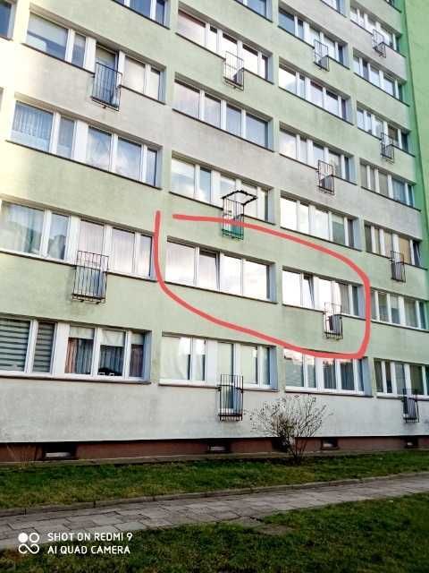 Mieszkanie 2-pokojowe Szczecin Niebuszewo, ul. Juliana Ursyna Niemcewicza