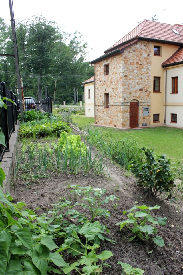 dworek, 11 pokoi Fałków. Zdjęcie 13