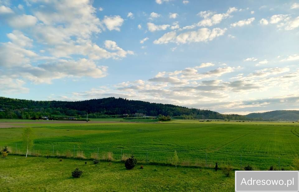 Działka rolna Wojcieszyce. Zdjęcie 5