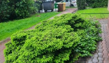 Mieszkanie 2-pokojowe Puławy, ul. Wacława Sieroszewskiego