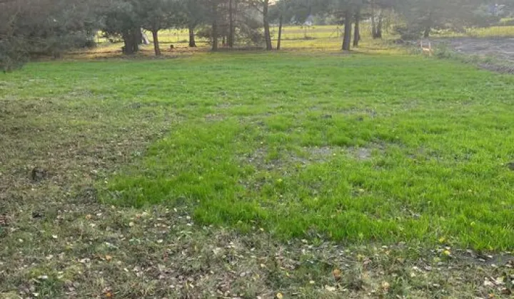 Działka budowlana Placydów