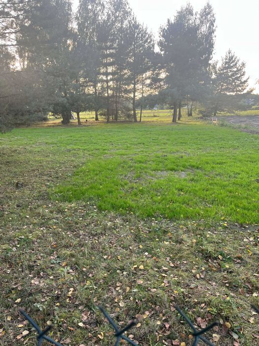 Działka budowlana Placydów