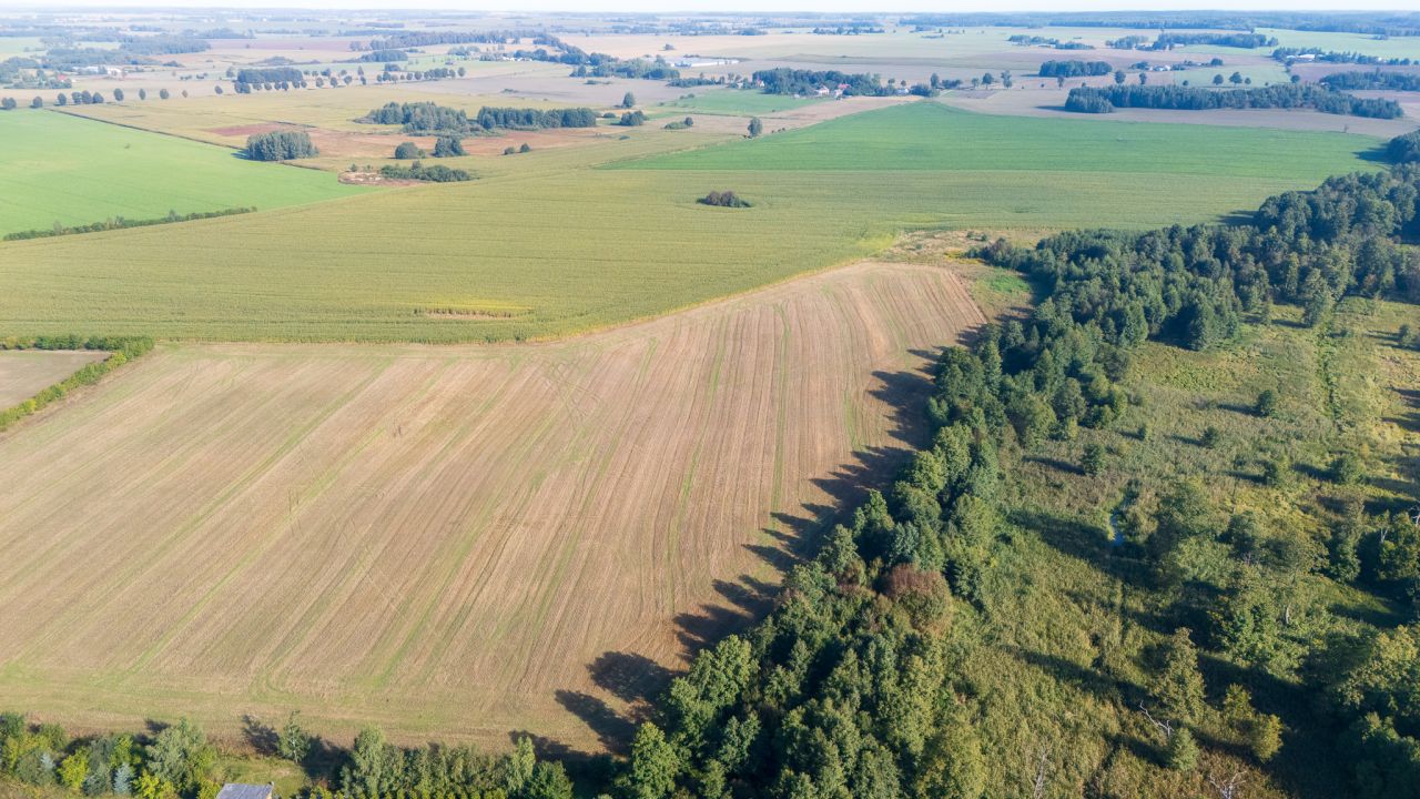 Działka rolno-budowlana Gołębiewo. Zdjęcie 6