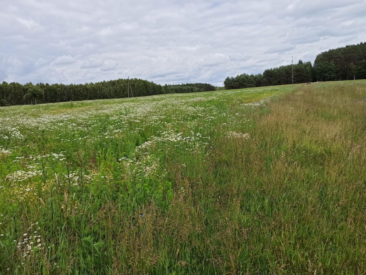 siedlisko, 3 pokoje Piaski. Zdjęcie 10