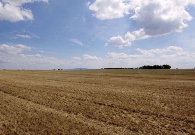 Działka rolna Ząbkowice Śląskie. Zdjęcie 1