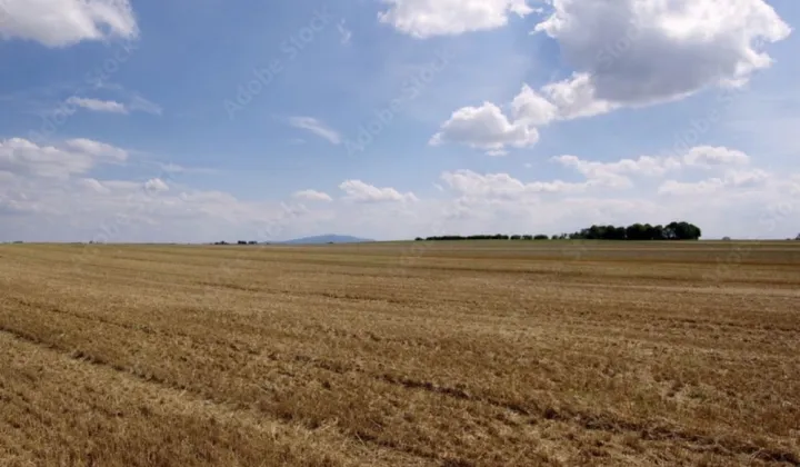 Działka rolna Ząbkowice Śląskie