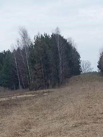 Działka rolno-budowlana Poświętne, ul. Polna. Zdjęcie 4