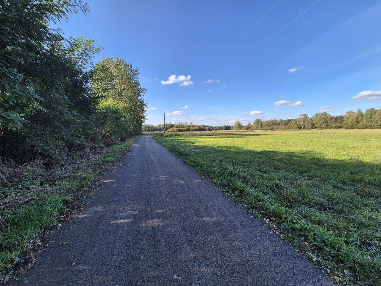 Działka inwestycyjna Naprusewo. Zdjęcie 4