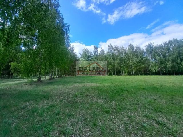 Działka budowlana Korzeniówka. Zdjęcie 5