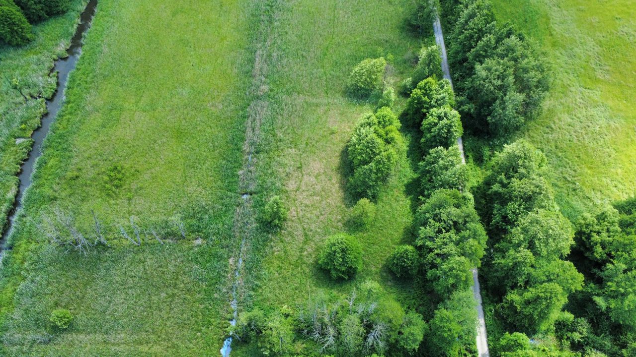 Działka rolna Siennica Nadolna. Zdjęcie 8