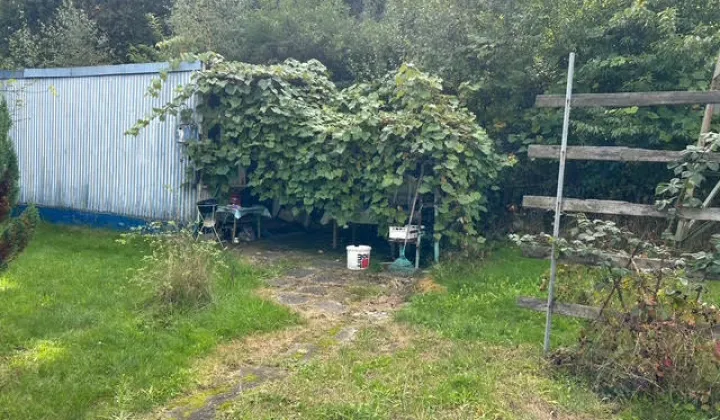 Działka rod Jastrzębie-Zdrój, ul. Chlebowa