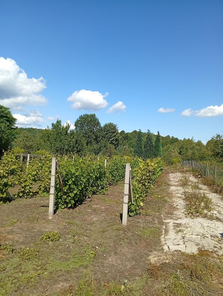 Działka budowlana Ludwinów. Zdjęcie 4