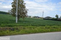 Działka budowlana Czołki. Zdjęcie 3