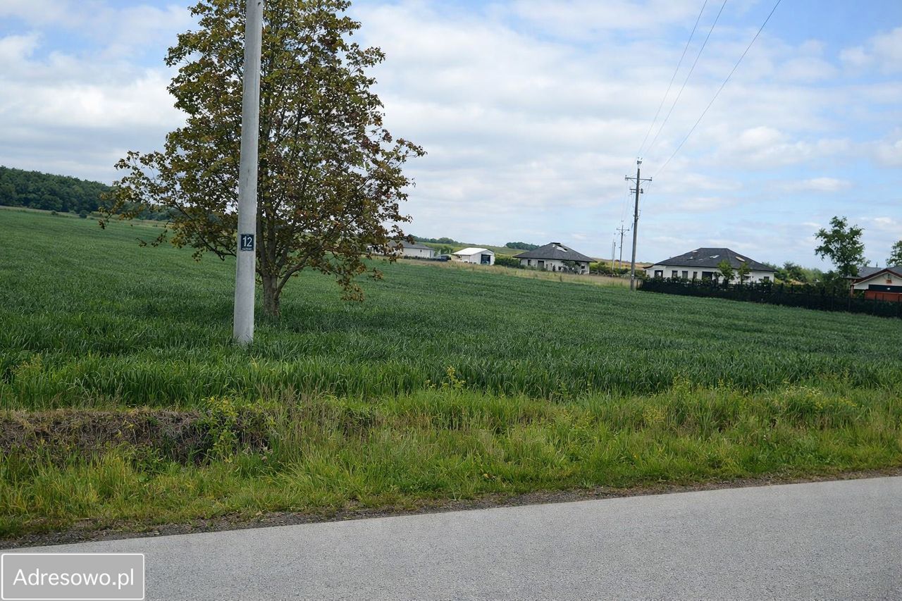 Działka budowlana Czołki. Zdjęcie 4