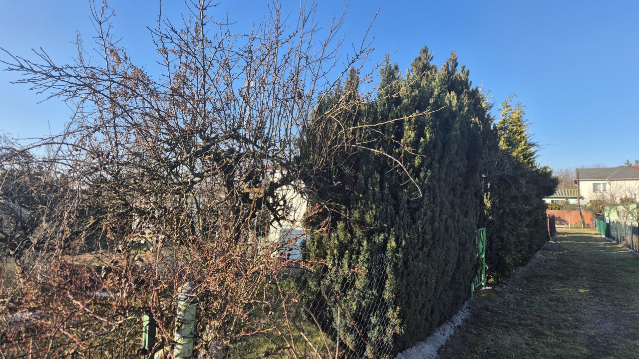 Działka rekreacyjna Kostrzyn nad Odrą Osiedle Leśne, ul. Sportowa. Zdjęcie 7