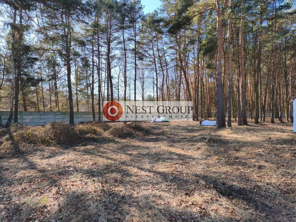 Działka budowlana Nowy Janków, ul. Wołomińska. Zdjęcie 3