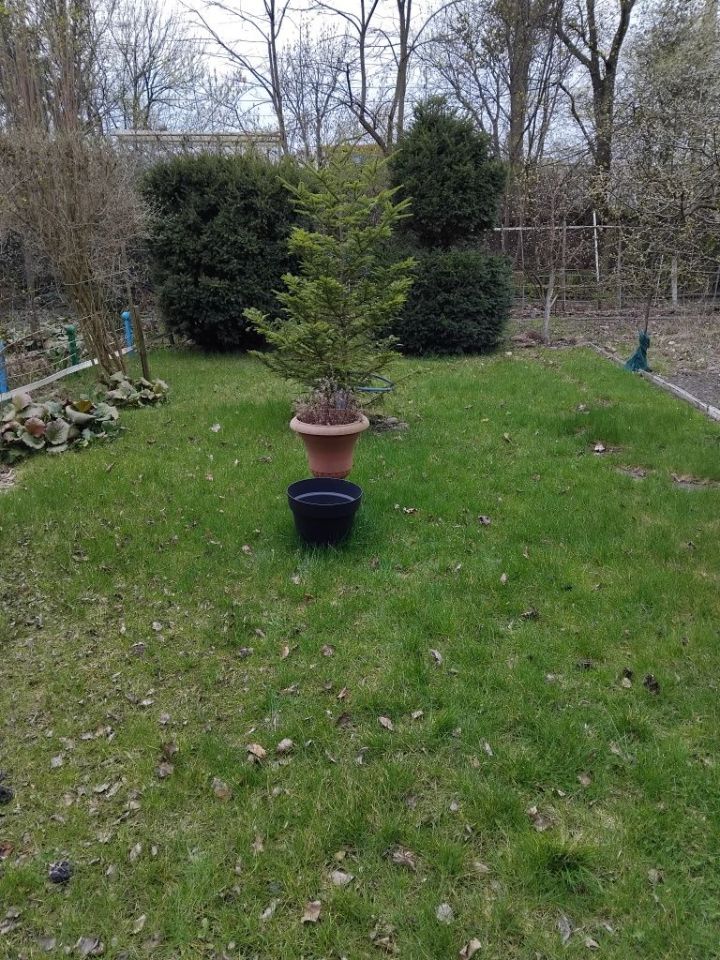 Działka rod Wrocław Księże Małe. Zdjęcie 7